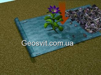 Висаджування рослин через полотно геотекстилю Typar SF - фото 3