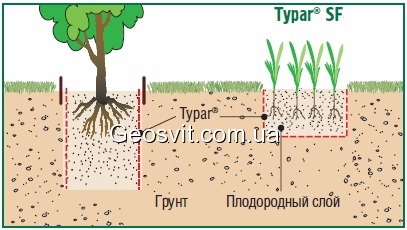 ограничения корней геотекстиль typar sf